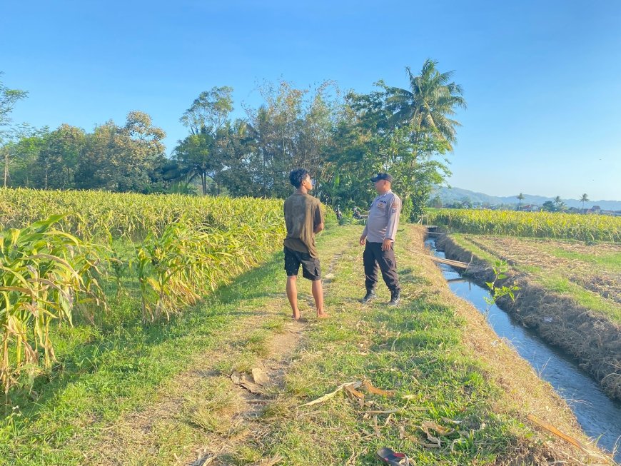 Polres Malang Kawal Pangan dari Lahan hingga Distribusi Hasil Tani