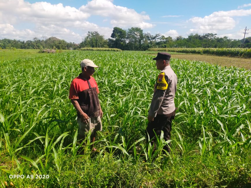 Dukung Asta Cita, Polres Malang Dorong Lahan Warga Jadi Sumber Pangan