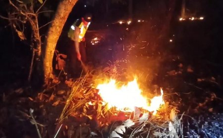 Respons Cepat, Polsek Widodaren dan Tim Gabungan Padamkan Titik Api Karhutla di Ngawi