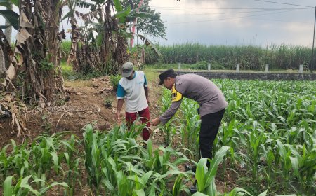 Jaga Pasokan Pangan, Polisi Dorong Hasil Tani Warga Tersalurkan