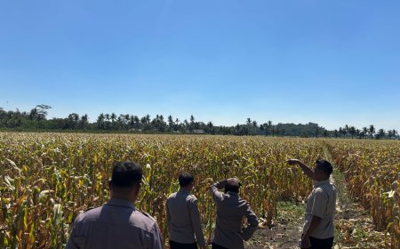 Jaga Pasokan Pangan, Polisi Dorong Lahan Desa Tetap Produktif