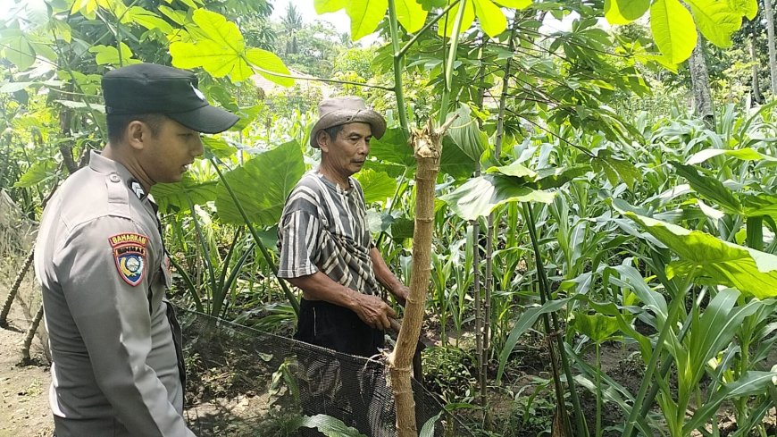 Jembatan Pajarakan Direhabilitasi, Polres Probolinggo Siapkan Jalur Alternatif